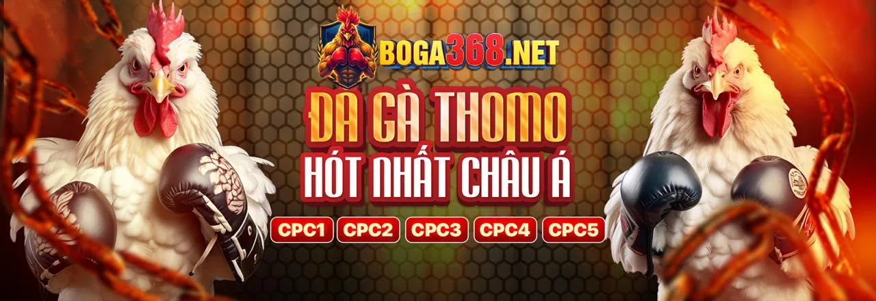 Đá Gà Cựa Dao khốc liệt tại 88clb