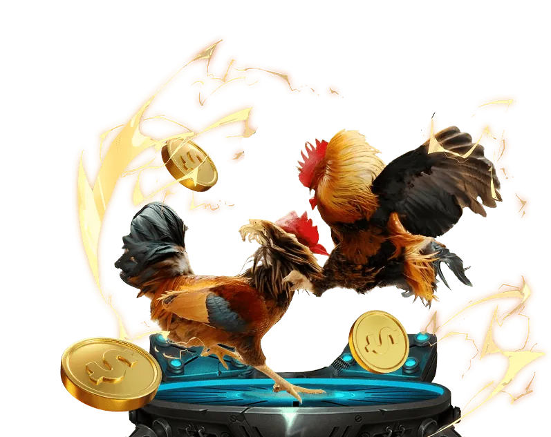 Gà chiến dũng mãnh tại 88clb trang chủ